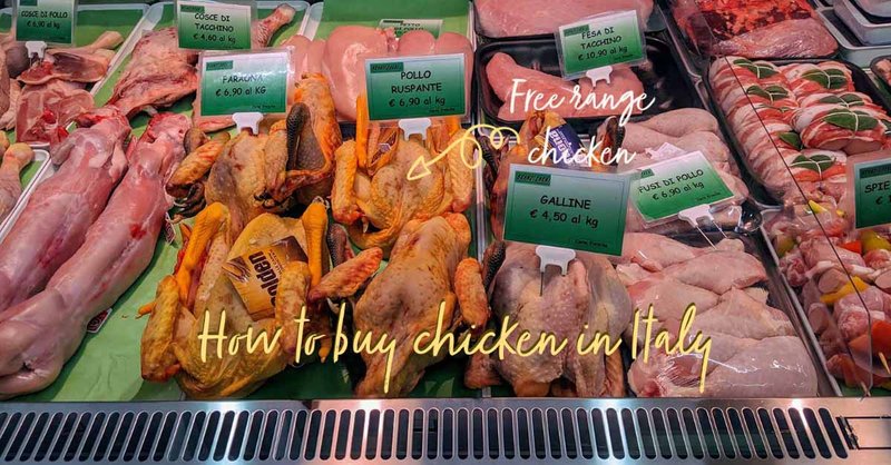 Scopri il Mondo della Famosa Slot Machine Chicken Road in Italia Online